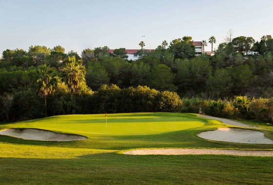 Neue Gebäude - ground-floor - Algorfa