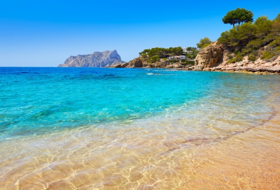 Neue Gebäude - ground-floor - Algorfa