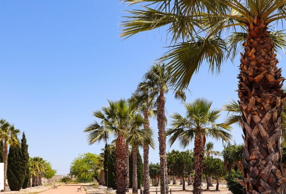 Neue Gebäude - Villa - San Fulgencio - La Escuera