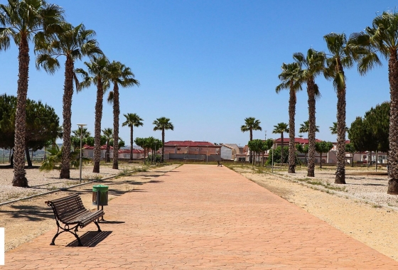 Neue Gebäude - Villa - San Fulgencio - La Escuera