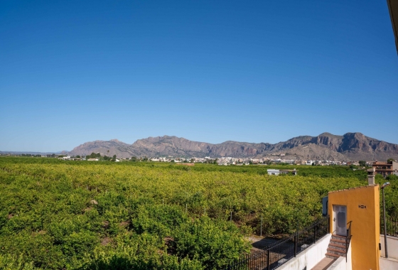 Herverkoop - Villa - Orihuela - Inland