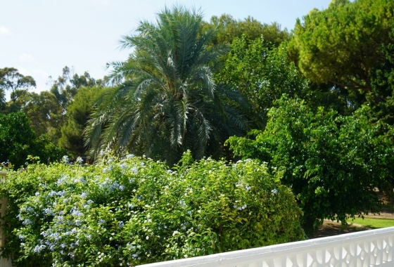 Herverkoop - Herenhuis - Orihuela Costa - Costa Blanca