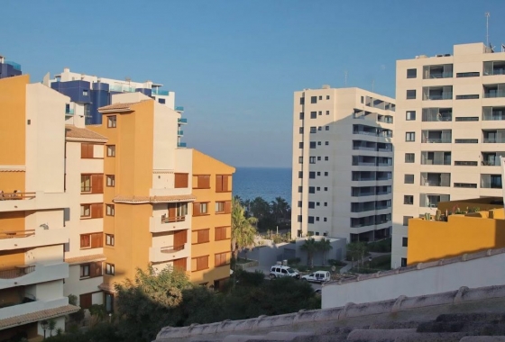Herverkoop - Appartement / flat - Torrevieja - Costa Blanca