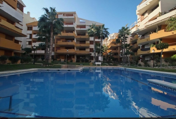 Herverkoop - Appartement / flat - Torrevieja - Costa Blanca