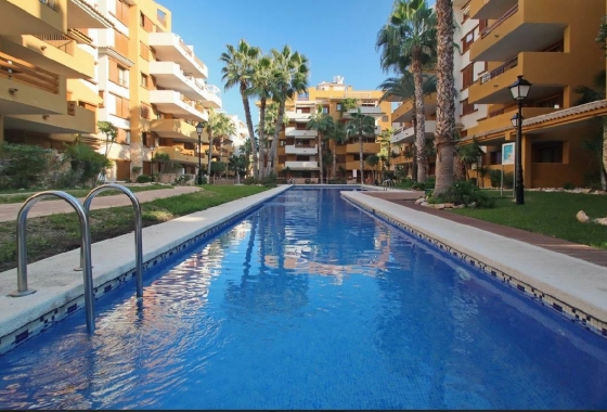 Herverkoop - Appartement / flat - Torrevieja - Costa Blanca