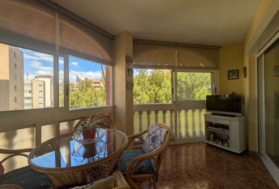 Reventa - Apartamento / piso - Benidorm - Costa Blanca