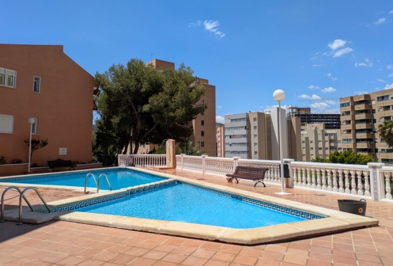 Reventa - Apartamento / piso - Benidorm - Costa Blanca