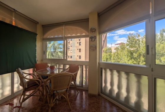 Reventa - Apartamento / piso - Benidorm - Costa Blanca