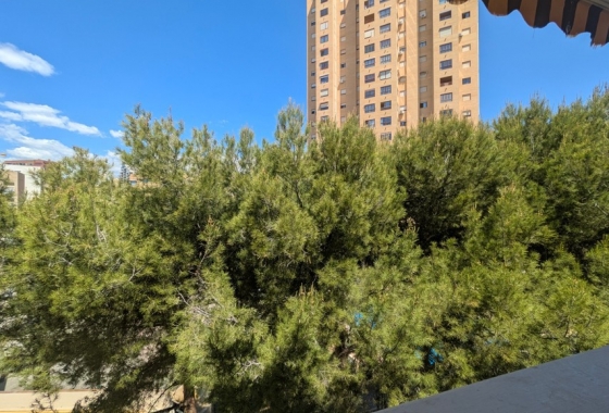 Reventa - Apartamento / piso - Benidorm - Costa Blanca