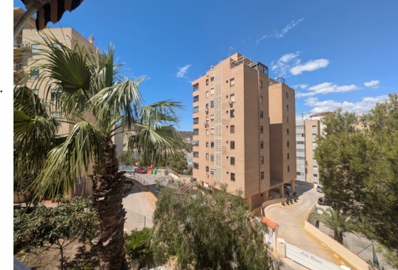 Reventa - Apartamento / piso - Benidorm - Costa Blanca
