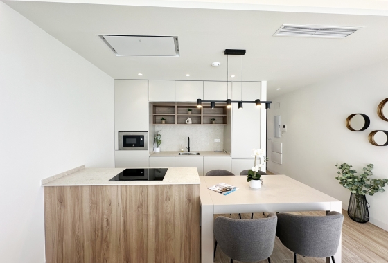 Obra nueva - Chalet - Torre de la Horadada