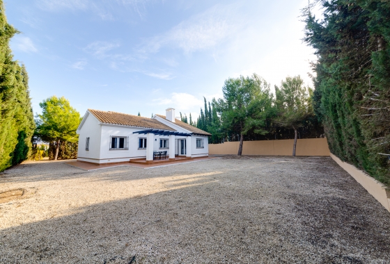 Nieuwbouw Woningen - detached - Fuente Álamo - Fuente Alamo