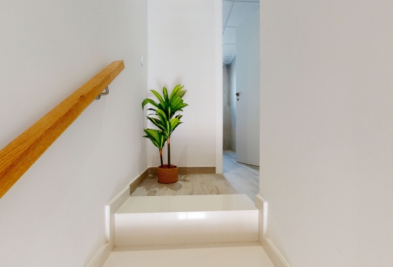 Obra nueva - high-bungalow - Pilar de la Horadada