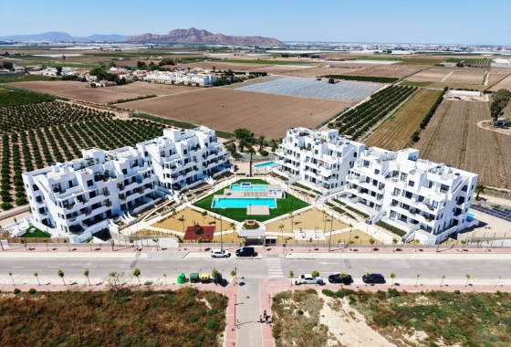 New Build - Bungalow - Torre Pacheco - Torre-Pacheco