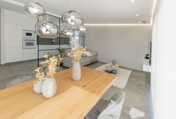 Nouvelle construction - detached - Pilar de la Horadada