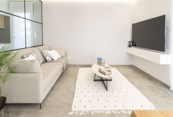 Nouvelle construction - detached - Pilar de la Horadada