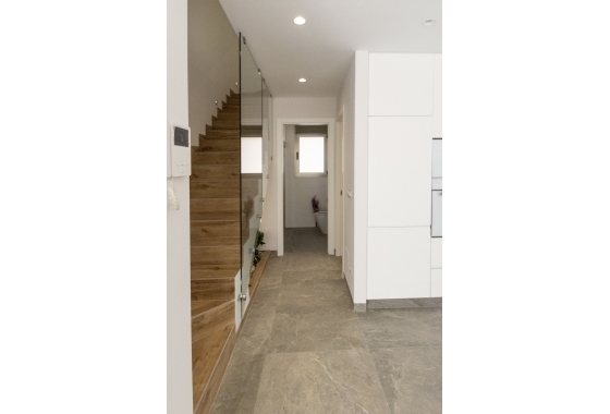 Nouvelle construction - detached - Pilar de la Horadada