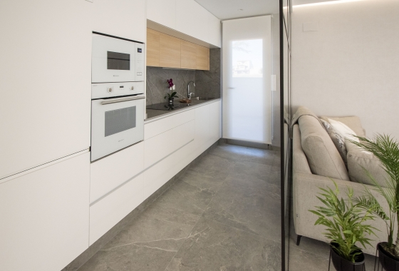 Nouvelle construction - detached - Pilar de la Horadada