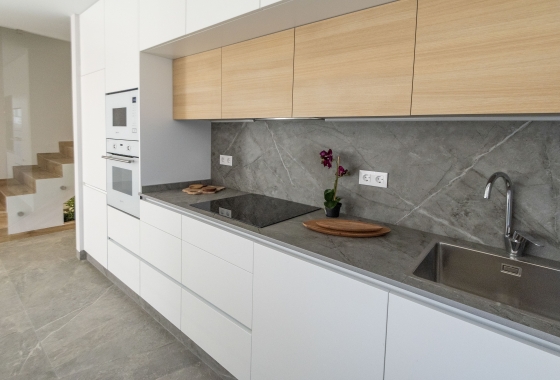 Nouvelle construction - detached - Pilar de la Horadada