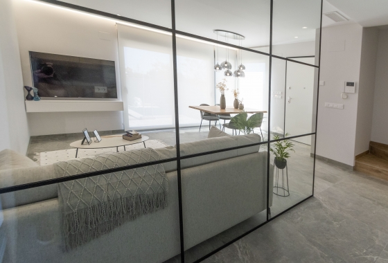 Nouvelle construction - detached - Pilar de la Horadada