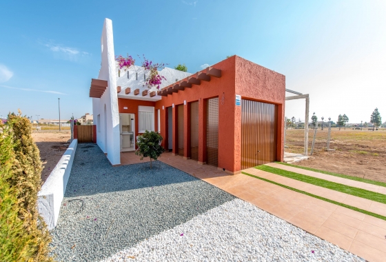 Obra nueva - Chalet - Los Alcazares - Los Alcázares