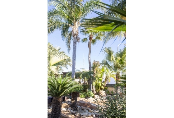 Obra nueva - Villa - San Pedro del Pinatar - San Pedro Del Pinatar