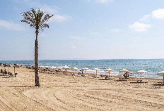 Neue Gebäude - Penthouse - Guardamar del Segura - Pueblo