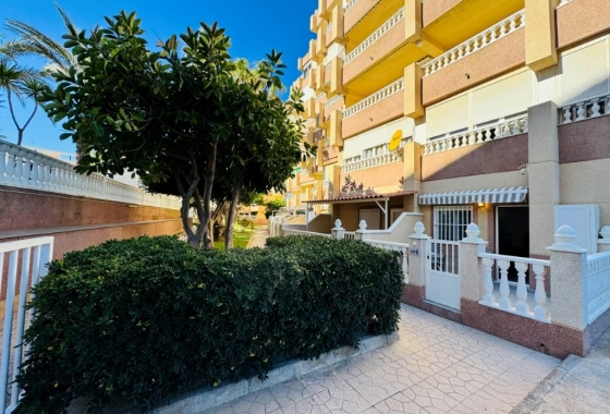 Herverkoop - Appartement / flat - La Mata - Costa Blanca