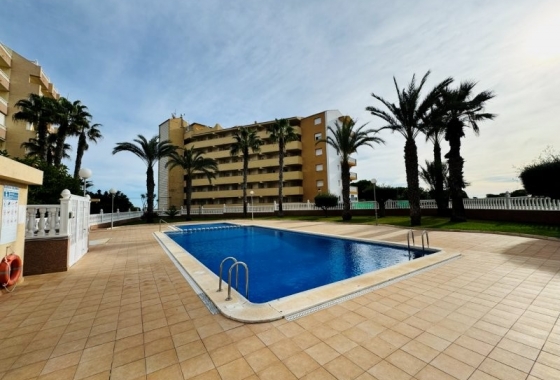 Herverkoop - Appartement / flat - La Mata - Costa Blanca
