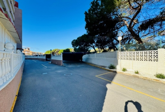 Herverkoop - Appartement / flat - La Mata - Costa Blanca