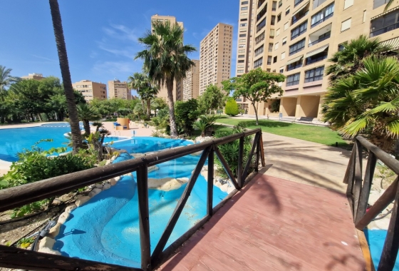 Herverkoop - Appartement / flat - Benidorm - Costa Blanca