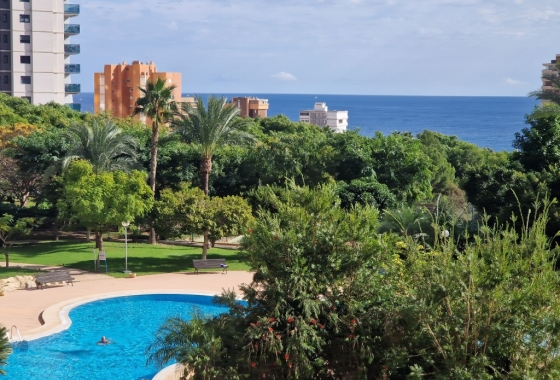 Herverkoop - Appartement / flat - Benidorm - Costa Blanca