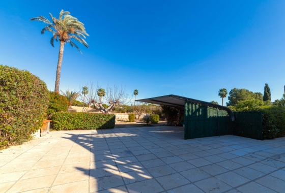 Herverkoop - Finca - Albatera - Inland