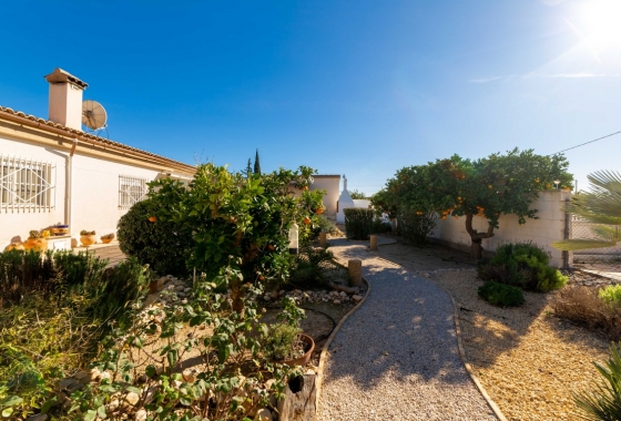 Herverkoop - Finca - Albatera - Inland