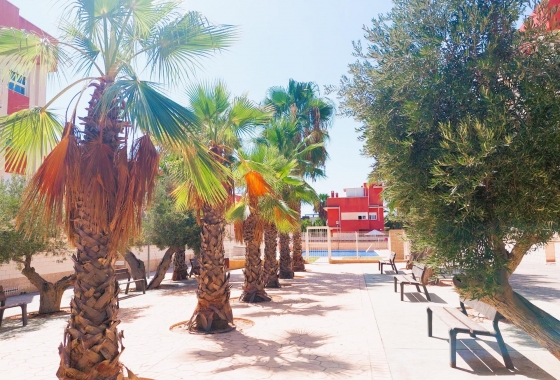 Wiederverkauf - Penthouse - Orihuela Costa - Costa Blanca