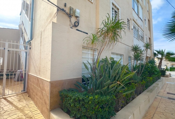 Herverkoop - Appartement / flat - Torrevieja - Zona Los Frutales