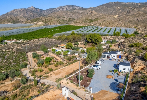 Resale - Finca - Crevillente - Inland