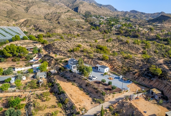 Resale - Finca - Crevillente - Inland