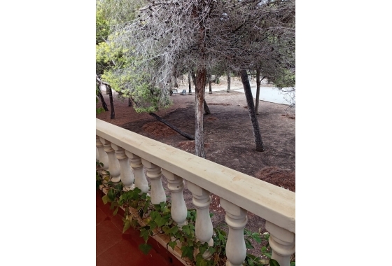 Reventa - Adosado - Torrevieja - Costa Blanca