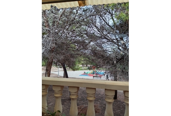 Reventa - Adosado - Torrevieja - Costa Blanca