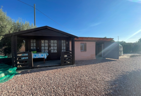 Reventa - Finca - Crevillente - Inland