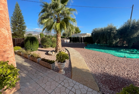 Reventa - Finca - Crevillente - Inland