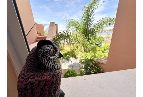 Resale - Apartment / flat - Mar Menor Golf Resort - Inland