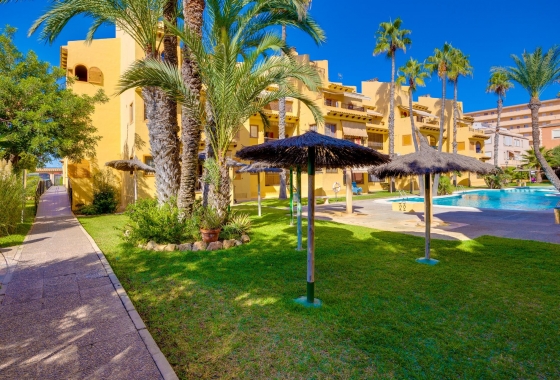 Перепродажа - Квартира - Torrevieja - La Mata
