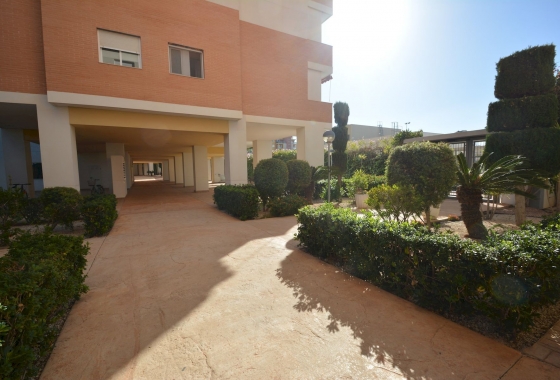 Reventa - Apartamento / piso - Guardamar del Segura - Costa Blanca