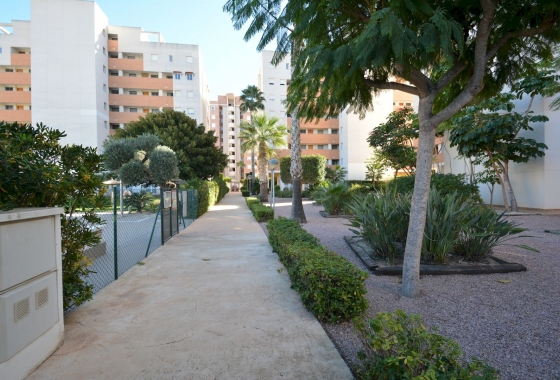 Reventa - Apartamento / piso - Guardamar del Segura - Costa Blanca