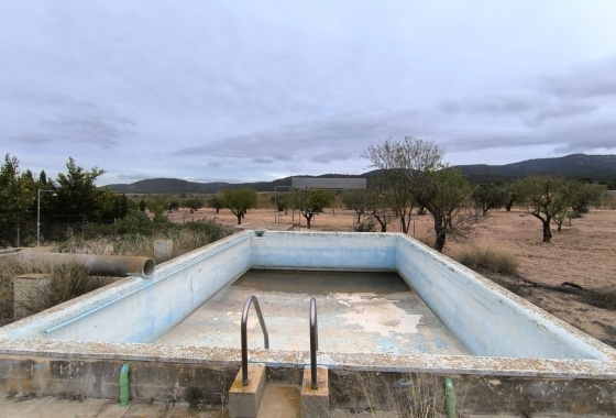 Reventa - Finca - Villena - Inland