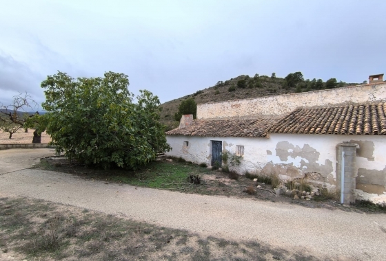 Reventa - Finca - Villena - Inland