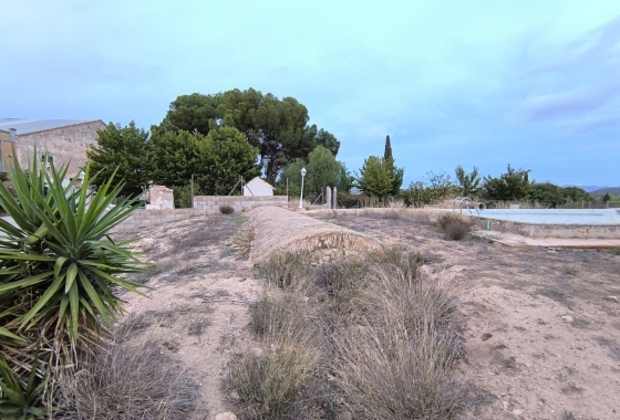Reventa - Finca - Villena - Inland