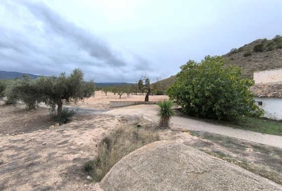 Reventa - Finca - Villena - Inland